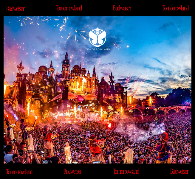 버드와이저 투모로우랜드 축제 분위기 사진